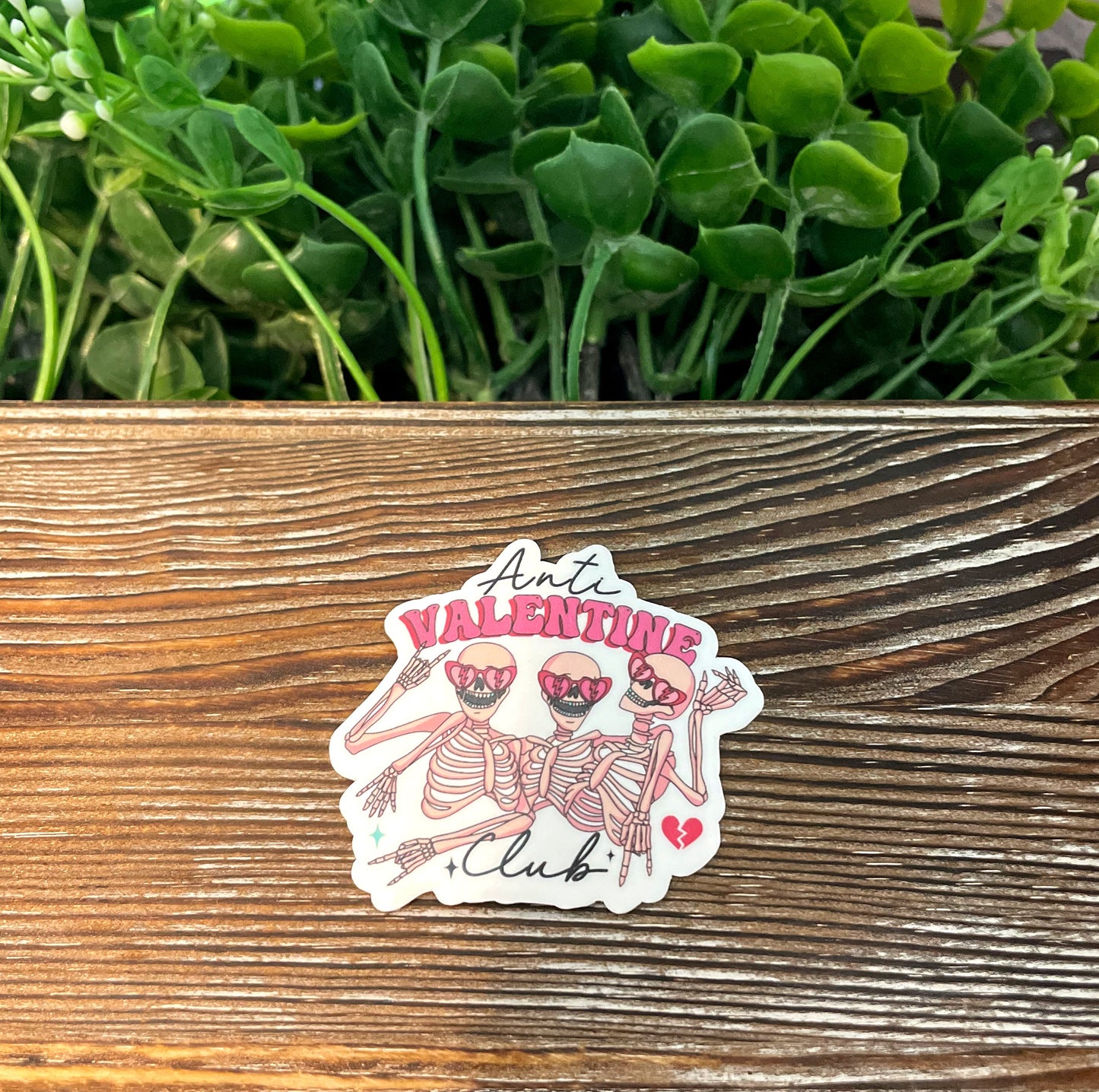 Anti Valentine Club |Vinyl Sticker or Magnet |Refrigerator Fridge Car |Valentines Day |Funny Quote |Dark Humor Love |Sticker or Magnet