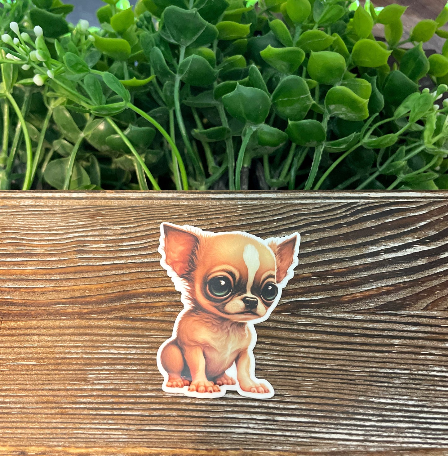 Chihuahua Puppy |Lightweight Vinyl Sticker or Magnet |Boho Fun |Refrigerator Fridge Car |Dog Mom Animal Lover |Pet Breed |Sticker or Magnet