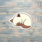 Sleeping Kitty, Die Cut Sticker, Graphic Art Vinyl, , Boho Fun Cat |Sticker or Magnet