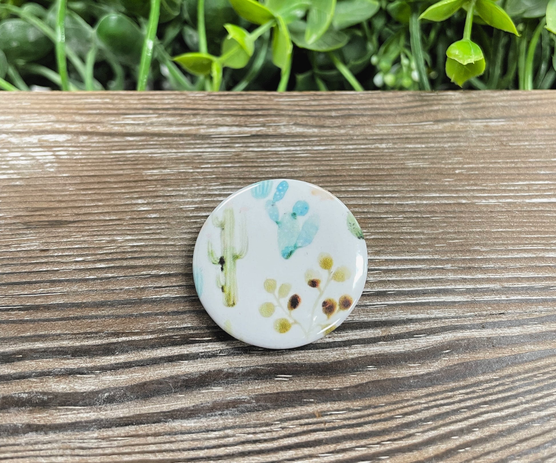 Cactuses Succulents, Graphic Art Button / Pin 1.25” - Handmade by Marlayna