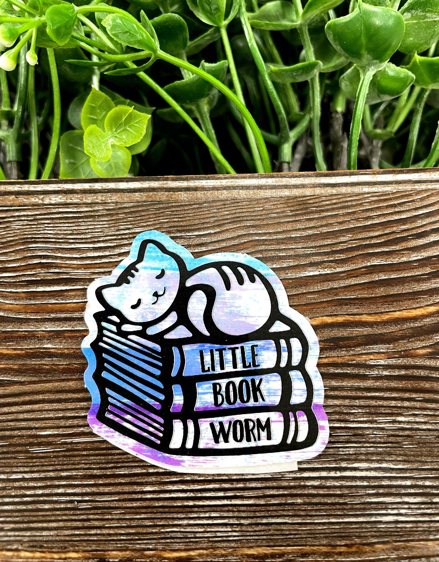 Sleeping Cat Book Worm Sticker |Sticker or Magnet