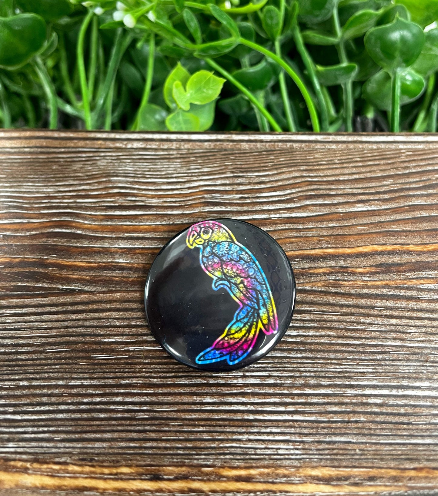 Rainbow Mandala Parrot, Graphic Art Button / Pin 1.25” - Handmade by Marlayna