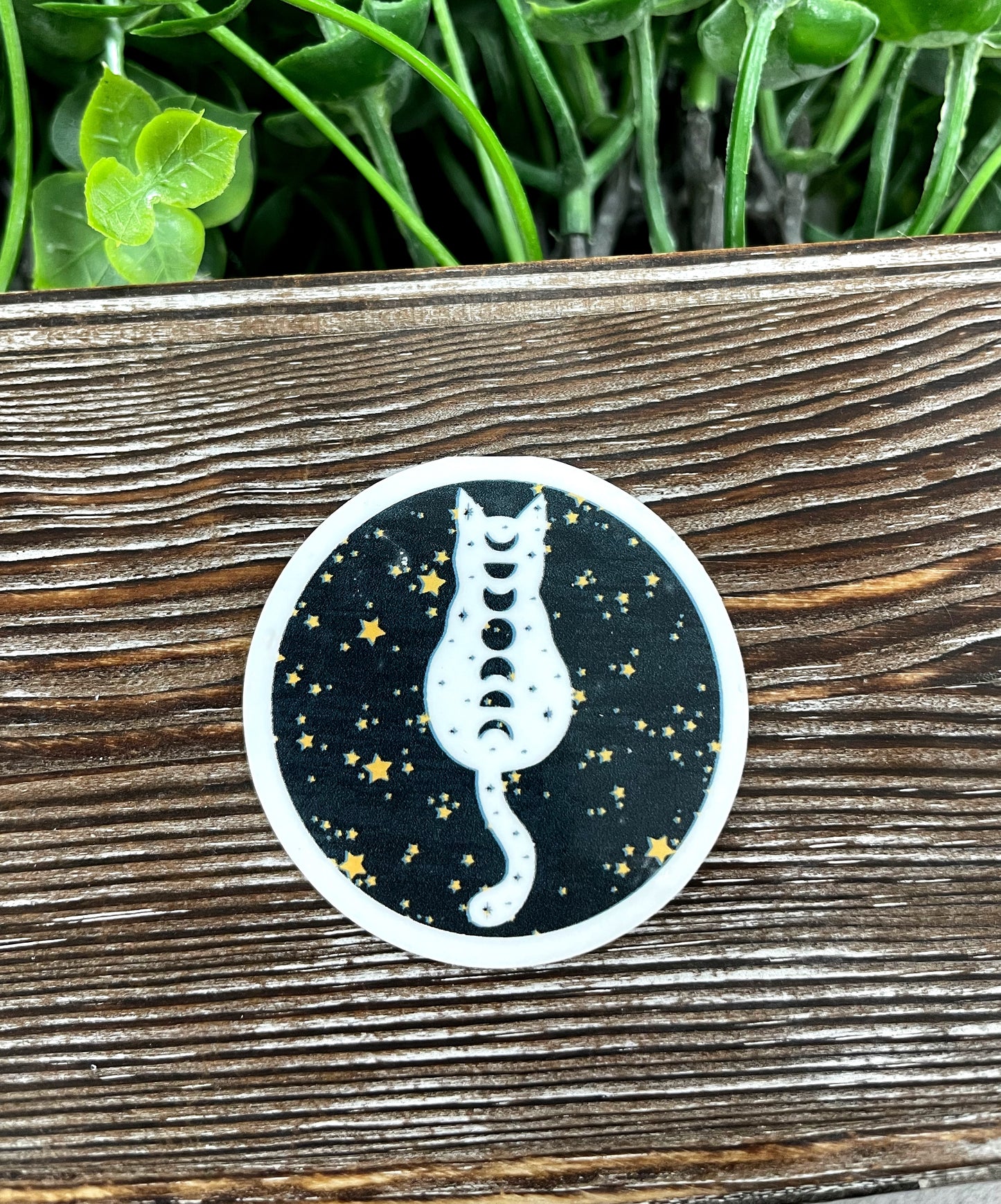 Cat Moon Phases Die Cut Sticker, Graphic Art Sticker, Vinyl, |Sticker or Magnet