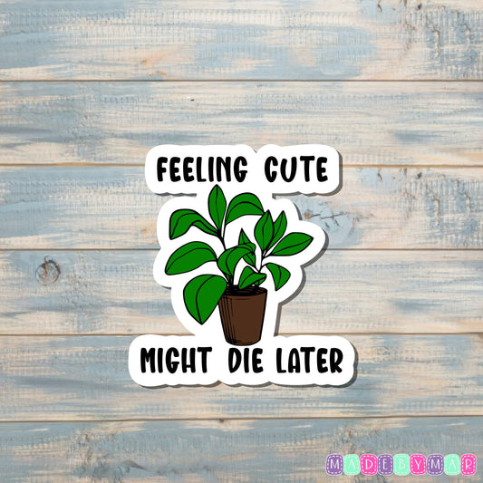 Feeling Cute Might Die Later Plant Sticker |Sticker or Magnet